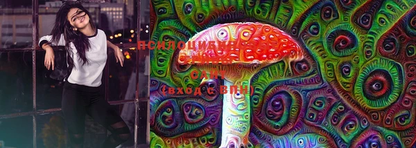марки nbome Богородицк