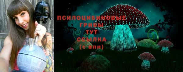 МДМА Богданович