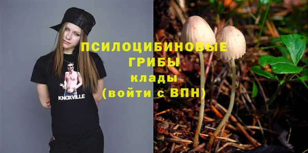 МДМА Богданович