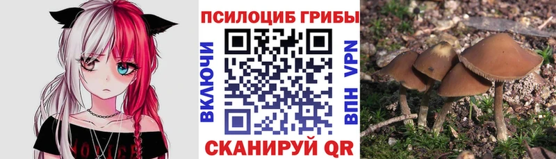 Галлюциногенные грибы прущие грибы Корсаков